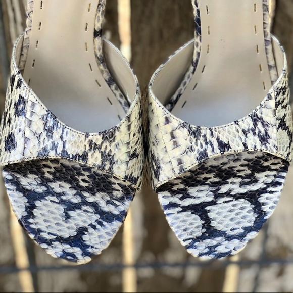 ✨NEW✨STEVE MADDEN PYTHON - Picture 6 of 8